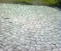 Zdjęcie z galerii
