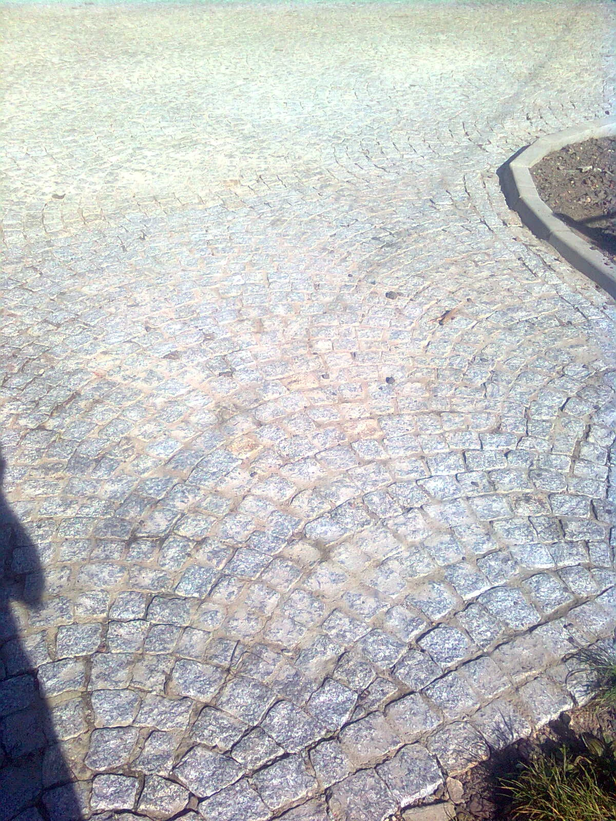 Zdjęcie z galerii